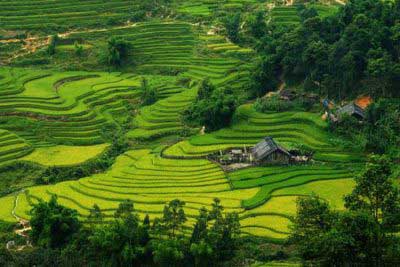 Ta Van Village in Sapa