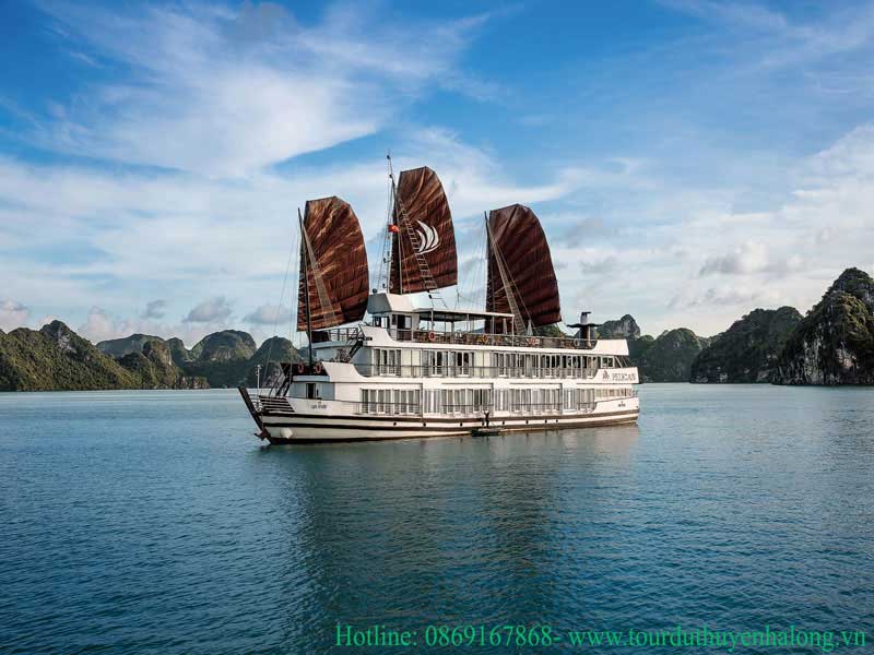 PELICAN CRUISES