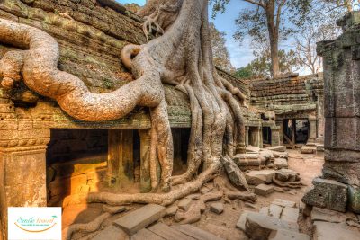 temple of Ta Prohm