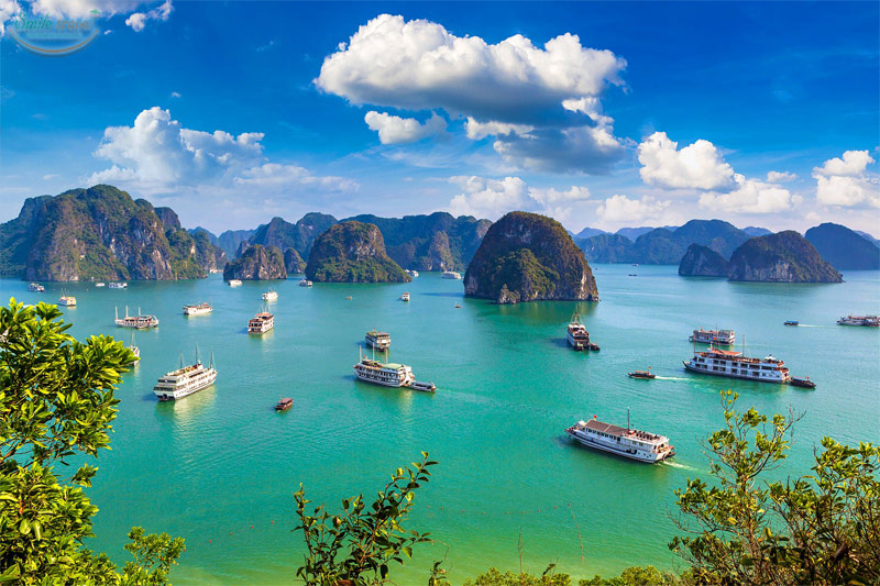 Visit Halong Bay in 2 days 1 night Ninh Binh tour