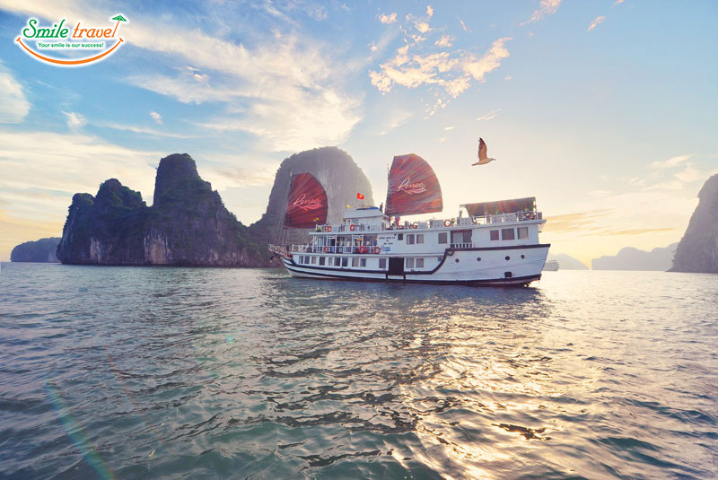 Renea-Cruise-overview-Smiletravel