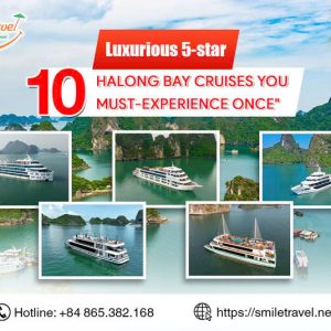 10 Luxurious 5-star Halong Bay Cruises You Must-Experience Once